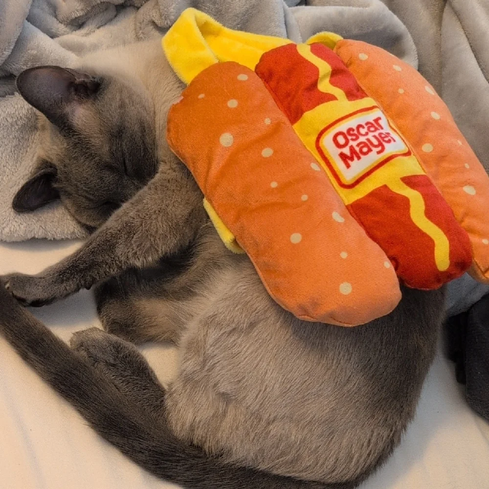 Oscar Mayer Plush Hot Dog Costume in Orange and Yellow